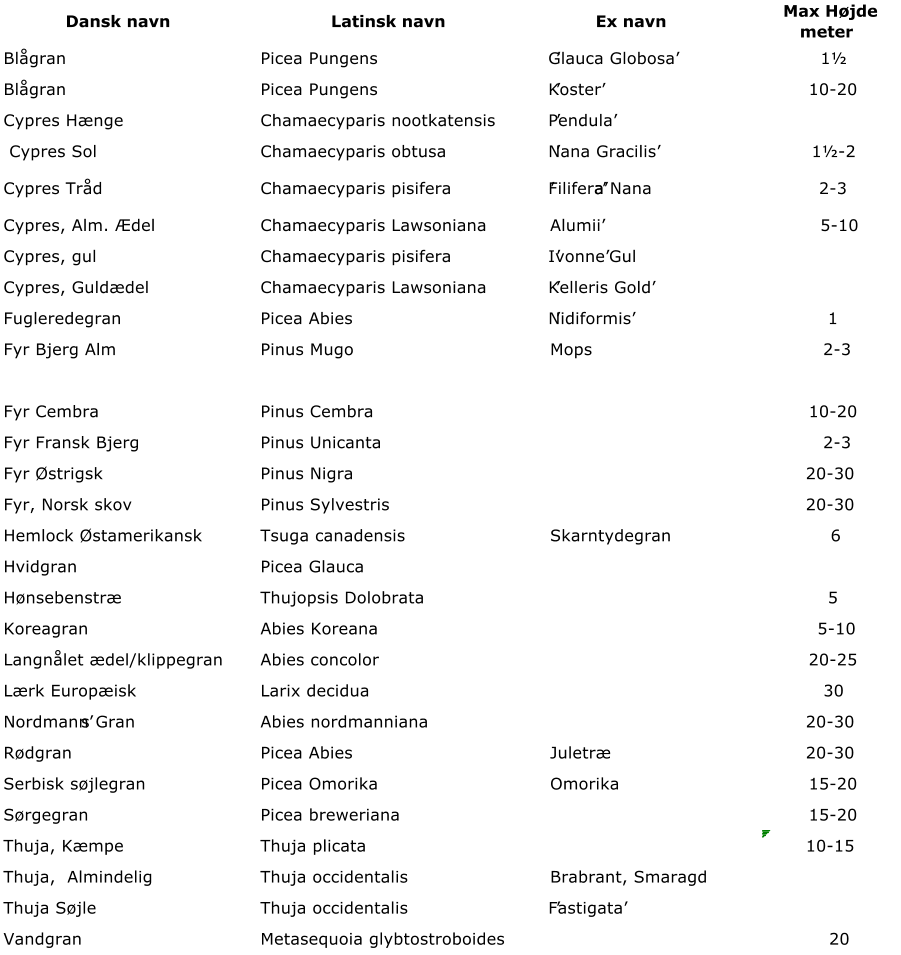 Dansk navn Latinsk navn Ex navn   Max Hjde  meter Blgran Picea Pungens  Glauca Globosa  1 Blgran Picea Pungens Koster 10-20 Cypres Hnge  Chamaecyparis nootkatensis Pendula Cypres Sol Chamaecyparis obtusa Nana Gracilis 1-2 Cypres Trd Chamaecyparis pisifera  Filifera a Nana 2-3  Cypres, Alm. del Chamaecyparis Lawsoniana Alumii  5-10  Cypres, gul Chamaecyparis pisifera Ivonne  Gul  Cypres, Gulddel Chamaecyparis Lawsoniana Kelleris Gold Fugleredegran Picea Abies Nidiformis 1 Fyr Bjerg Alm Pinus Mugo Mops     2-3 Fyr Cembra Pinus Cembra  10-20 Fyr Fransk Bjerg Pinus Unicanta     2-3 Fyr strigsk Pinus Nigra  20-30 Fyr, Norsk skov Pinus Sylvestris  20-30 Hemlock stamerikansk Tsuga canadensis Skarntydegran  6 Hvidgran   Picea Glauca Hnsebenstr栠 Thujopsis Dolobrata  5 Koreagran Abies Koreana  5-10 Langnlet del/klippegran Abies concolor  20-25 Lrk Europisk Larix decidua  30 Nordmanns Gran  Abies nordmanniana 20-30 Rdgran Picea Abies  Juletr 20-30 Serbisk sjlegran Picea Omorika Omorika 15-20 Srgegran Picea breweriana  15-20 Thuja, Kmpe Thuja plicata  10-15 Thuja, Almindelig Thuja occidentalis Brabrant, Smaragd Thuja Sjle Thuja occidentalis Fastigata Vandgran Metasequoia glybtostroboides   20