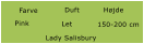 Farve Duft Hjde Lady Salisbury 150-200 cm Let Pink