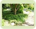Vinterglans