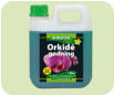 Orchidegdning