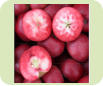 Rosette "Rdt Flsk"
