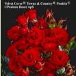 Velvet Cover
