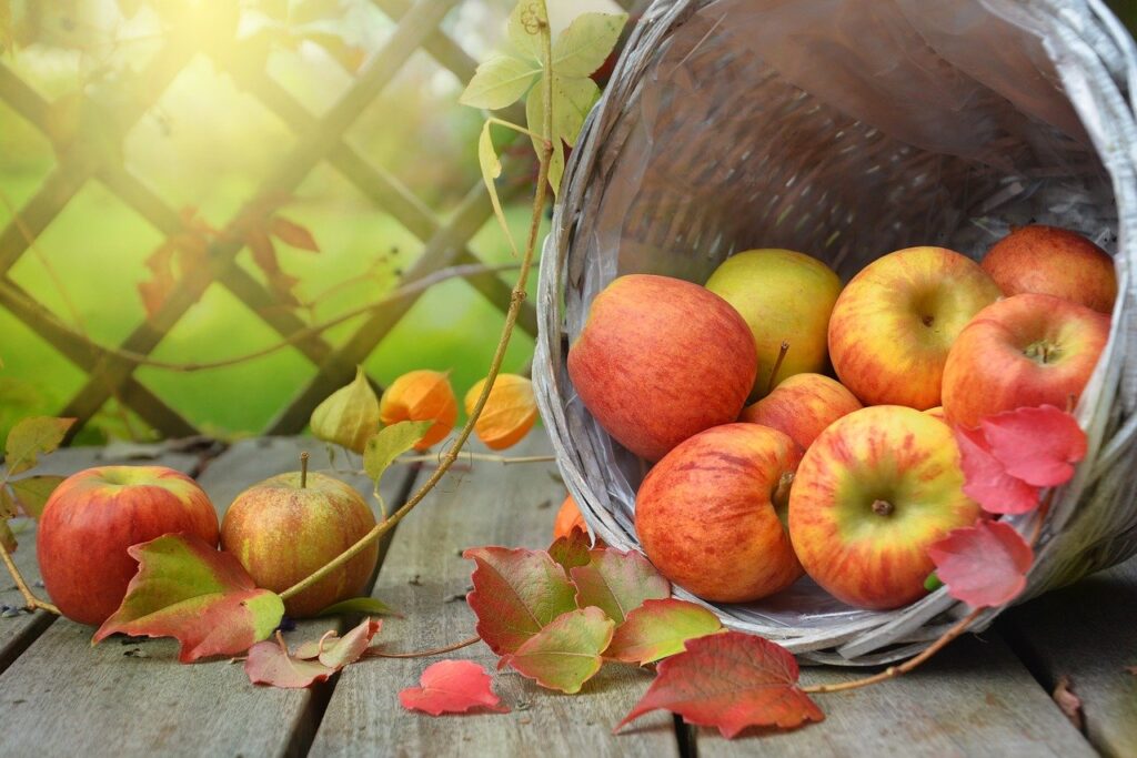 apple, autumn, leaf