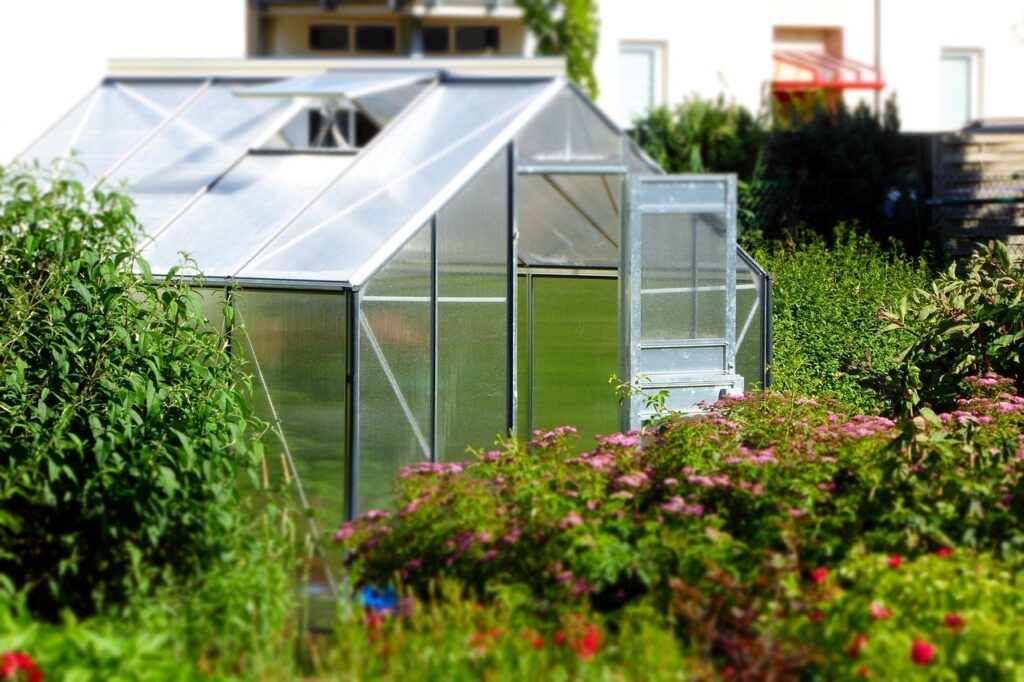 greenhouse, garden, glass house